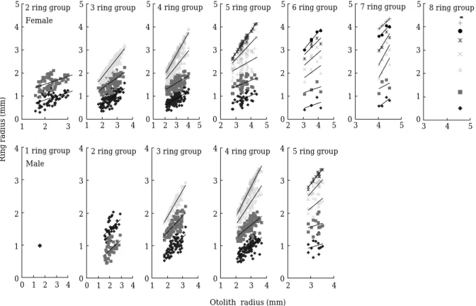 Fig. 4. Relationship between otolith radius and ring radius of brown sole, Pleuronectes herzensteini in the East Sea of Korea.