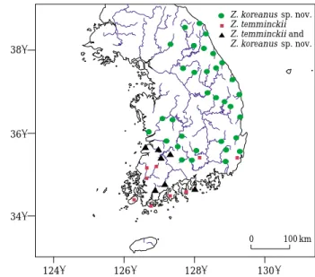 Fig. 3. The geographical distribution patterns of Z. kor- kor-eanus sp. nov. and Z. temminckii from Korea.