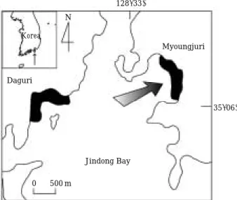 Fig. 2. Monthly variations of temperature, salinity and eelgrass biomass in an eelgrass bed in Myoungjuri of Jindong Bay.
