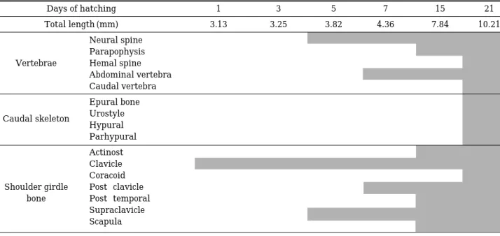 Table 3. Developments of pterygiophore and vertebrae in the larvae and juveniles of Takifugu pardalis