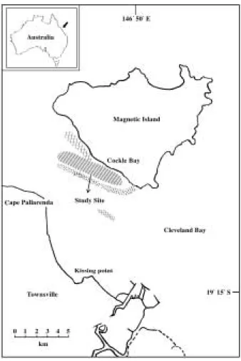 Fig. 1. Map of study sites in Cockle Bay.