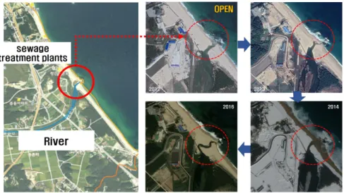 Fig. 1. Study Area and Shoreline