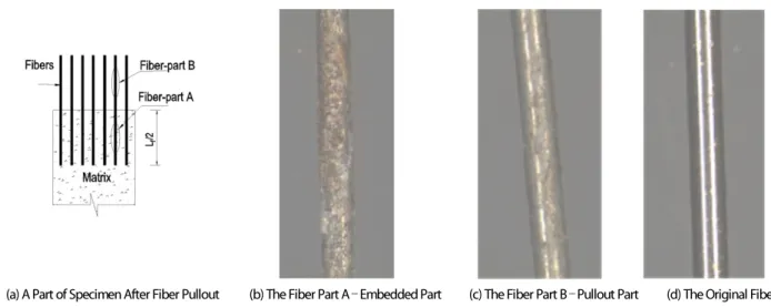 Fig. 10. The Microscope Images of Fiber Embedded in Matrix and After Fiber Pullout