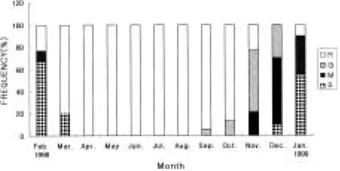 Fig. 7. Seasonal changes in the frequency of testicular de- de-velopmental stage in seabass