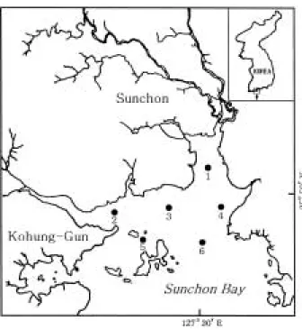 Fig. 1. Map showing the sampling area of Sunchon Bay, Korea.