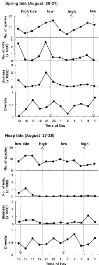Fig. 2. Temporal variation in the number of species, num- num-ber of individuals, biomass in gram and species diversity index of fishes collected by a beach seine in the surf zone at the Daechon beach during the spring and neap tides in August 1990.