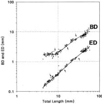 Fig. 5. Relative growth of body depth and eye diameter against total length in the Korean bullhead.