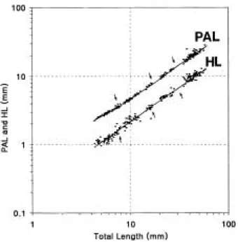 Fig. 7. The relative growth of inf lective points in several body parts against total length of the larval, juvenile and young stage of the Korean bullhead