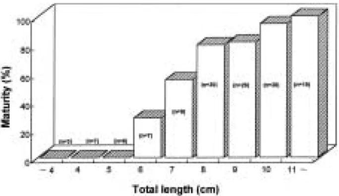 Table 1. Number of specimens and collection date of the slimy, Leiognathus nuchalis for analysis Collection Total number Number Number Sex ratio date of specimens of female of male (F : M)