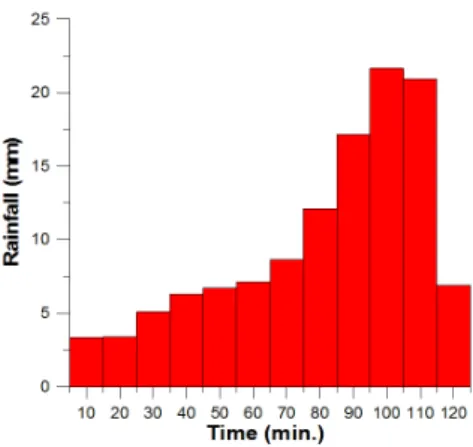 Fig. 3. Sub Basin and Storm Water Pipe Line Fig. 4. Topographical Data