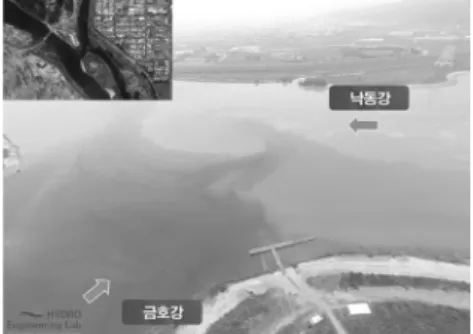 Fig. 7. Spatial Distributions of Water Quality본류로  유입되어  본류  좌안을  따라  상류까지  영향을  미치면서 혼합되는 것을 확인할 수 있으며, 하중도를 지나는 구간에서 낙동강 본류와  금호강 수질  특성이  뚜렷하게 차이가  나는  것을 확인할 수  있다