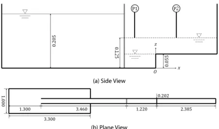 Fig. 7. Dimensions of Dam-Break Experiment (Gusev et al., 2008)