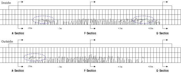 Fig. 16. Crack Profile of Test Specimen (P u =1,540kN) 