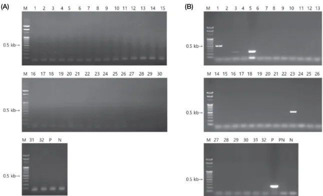 Fig. 4.  Maximum likelihood (using the Tamura-Nei distance model) tree showing the phylogenetic position of sample #5 (presumed to Aic- Aic-hivirus A) based on a nucleotide sequences from RT-nested PCR product