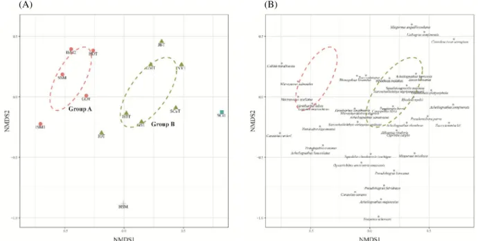 Fig. 3.  Non-metric multidimensional scaling ordination of fish communities displaying (A) sampling sites and (B) species in the Seomjin  River basin.