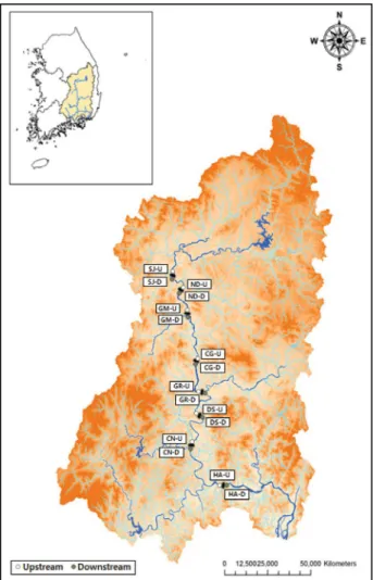 Fig. 1.  Map showing sampling site of study area in Nakdong River.