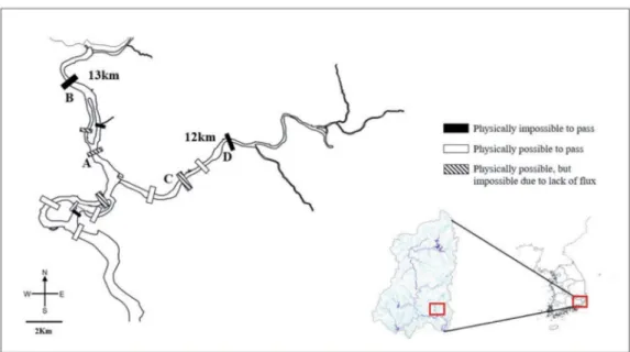 Fig. 2.  The distribution of weirs in the mainstream of Milyang River and Danjang stream (A, C: physically possible, but impossible to mi- mi-grate; B, D: physically impossible to migrate).