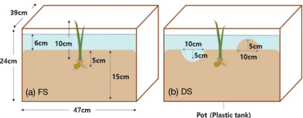 Table 1.  Growth characteristics of Bolboschoenus planiculmis in the Eulsuk tidal flat (n =10).