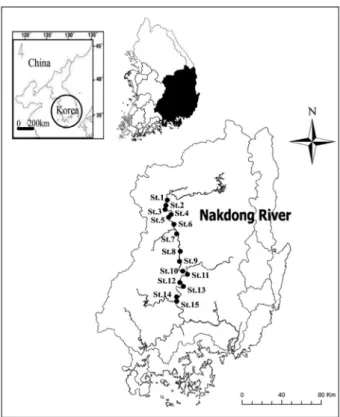 Fig. 1.  Map of the 15 stations that were sampled. Sites are distrib- distrib-uted from the mid-lower to mid-upper areas of the Nakdong River,  South Korea