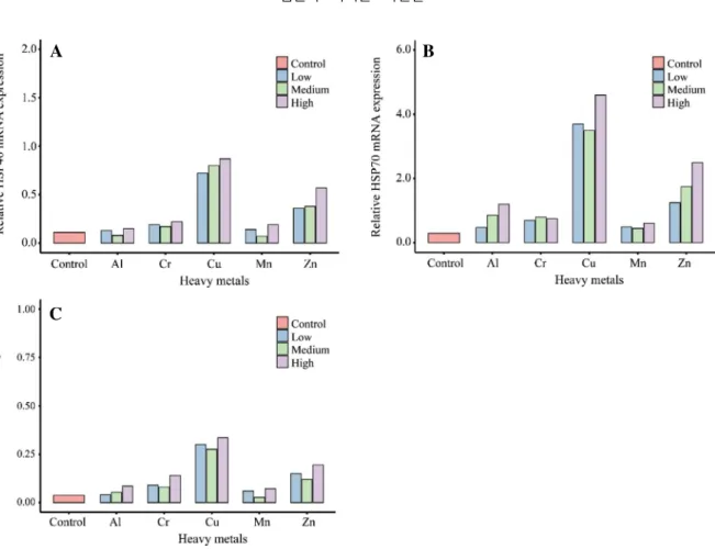 Fig. 2.  mRNA expression of HSPs (A: HSP40, B: HSP70, C: HSP90) genes in C. riparius larvae exposed to heavy metals for 96 hours.