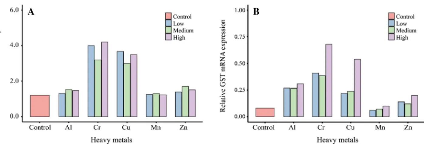 Fig. 3.  mRNA expression of detoxification (A: CYP450, B: GST) genes in C. riparius larvae exposed to heavy metals for 96 hours.
