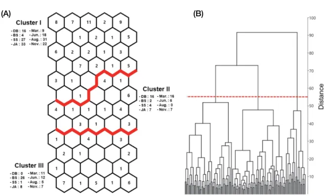Fig. 4.  Differences of number of phytoplankton species (A) and cell density (B) according to the SOM