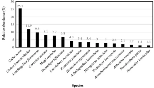 Fig. 3.  Relative abundance (%) of fish species sampled from the Han River estuary.