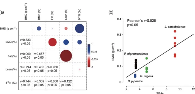 Fig. 4.   Relationship among body compositions and food resource availability. (a) Pearson correlation among the compositions of body con- con-dition (b) relationship between SEAc and BMD of 4 anuran species (H
