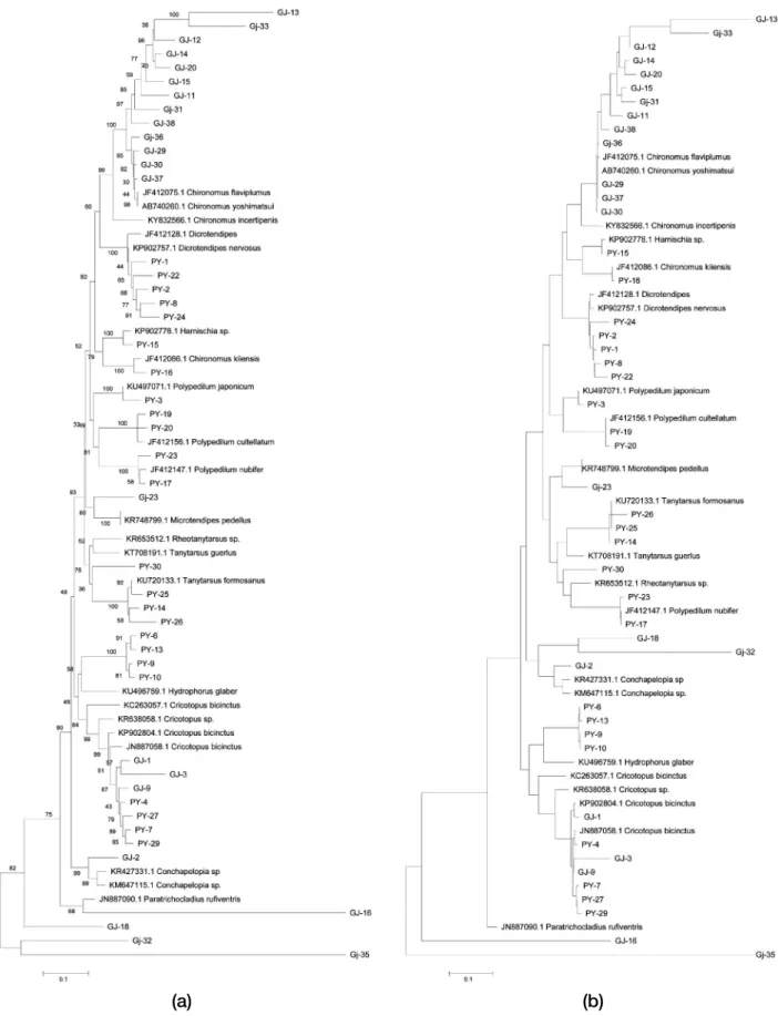 Fig. 2.    (a)  Neighbor-joining (NJ) tree and (b) Maximum likelihood (ML) tree of K2P distances based on mtDNA COI (1,000 bootstrap rep- rep-licates)