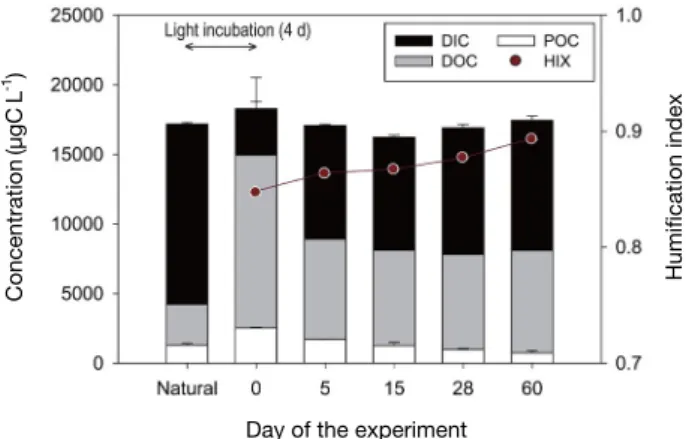 Fig. 2.    Changes in carbon pool and humification index (HIX)  during dark incubation experiment