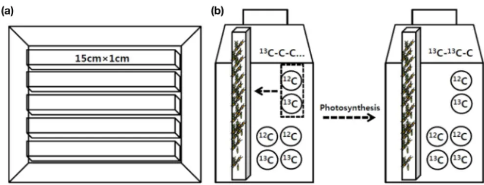 Table 1. HPLC system and solvent gradient (Jeffrey et al., 1997a).