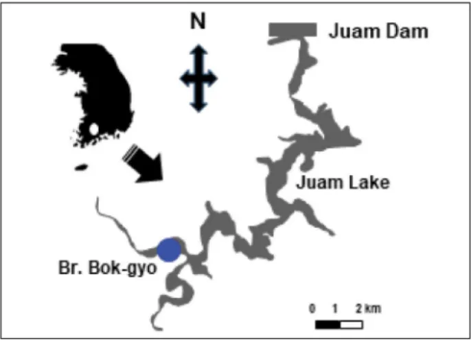 Fig. 1. A map showing the studied Bok-gyo Bridge area.