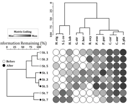 Fig. 7.   Cluster analysis diagram between species and sampling sites in Jungrang stream (H.eig: H