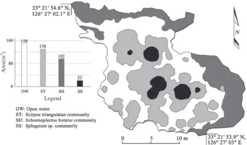 Fig. 4.   Cross-sectional distribution scheme of plant communities shown during the highest (0.25 m) water depth of the Ohmi