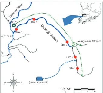 Fig. 1.   Map of study sites in the Gwangju Stream, Korea. STP; 