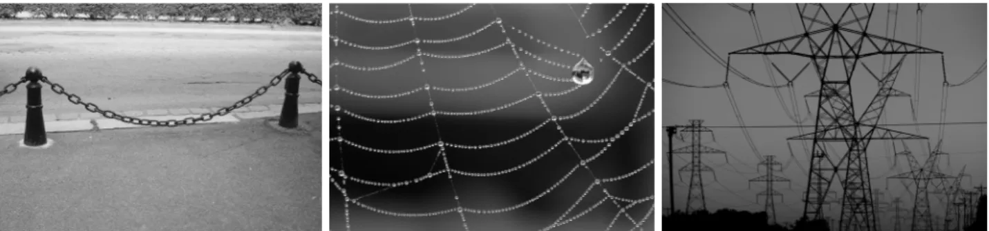 Fig. 2. Catenary Shape Example(from left side Chain, Web, Power line)