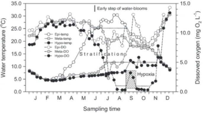 Fig. 5.   Weekly variations of water temperature and dissolved ox- ox-ygen concentration difference between water layer in near  dam of Daecheong Reservoir from January to December  2000.
