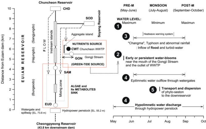 Fig. 11.   Longitudinal distribution of mean and maximum concentration of chlorophyll-a and algal growth potential (AGP) in Euiam Reser- Reser-voir from May 2012 to December 2015