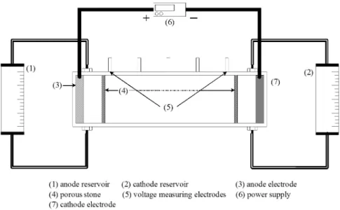 Fig. 1. Schematic Diagram of the Experimental Reactor