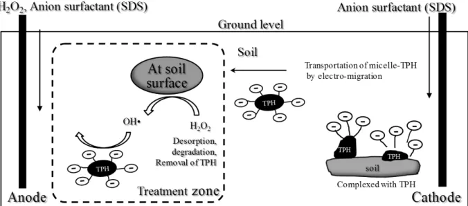 Fig. 5. Schematic Diagram of TPH Remediation of the Electrokinetic-Fenton Process Catalyzed by Minerals in the Subsurface