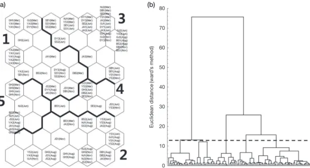 Fig. 5.   The results of self-organizing map based on phytoplankton indices (a) and dendrogram of SOM units using the Ward linkage with  Euclidean distance (b).(a)  (b) 80706050403020100