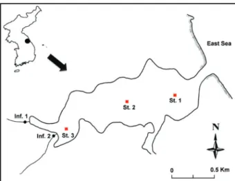 Fig. 2.   Time series of monthly rainfall in Sokcho city from 1995~ 