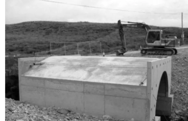 Fig. 1. Tievenameena Bridge (Gupta et al. (2008))