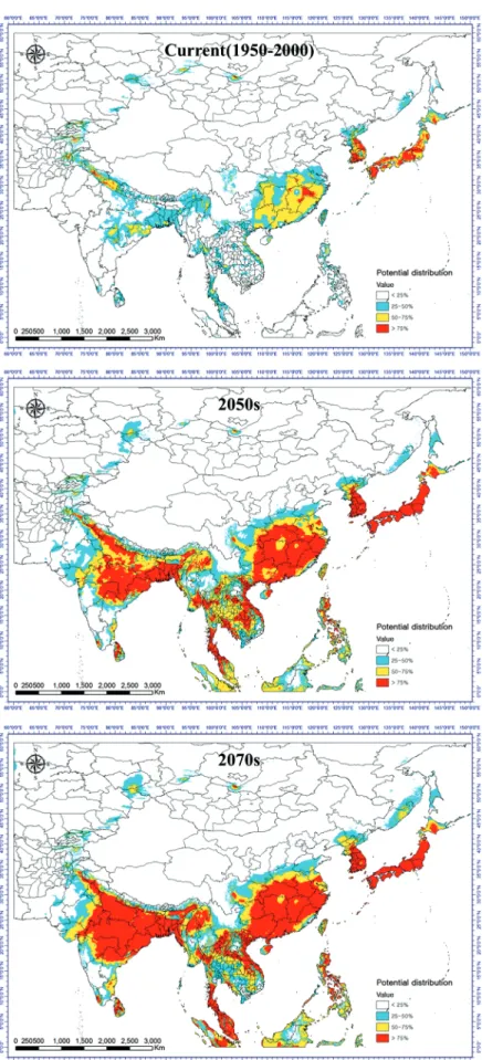 Fig. 5.   Change of geographic distribution of   Ursus thibetanus using the Maxent model (Current → 2050s → 2070s).