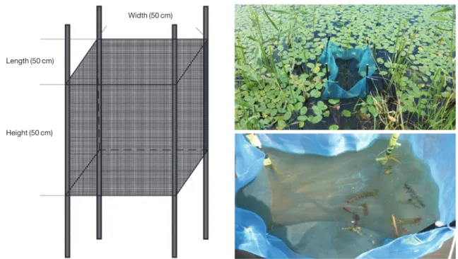 Table 1. Description of the 8 permanent plots site in Cheonjin lake, Korea