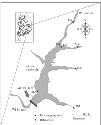 Table 1.   GPS (Global Positioning System) location of fish sam- sam-pling site at the Gunwi Dam reservoir.