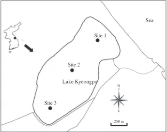 Fig. 1. Map showing the sampling site in Lake Kyoungpo.