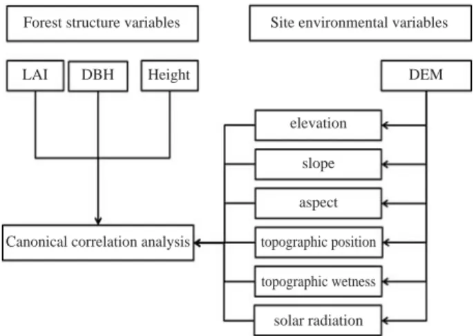 Fig. 1. Processing scheme to analysis the relationship between forest structure and site environmental properties derived digital elevation model.