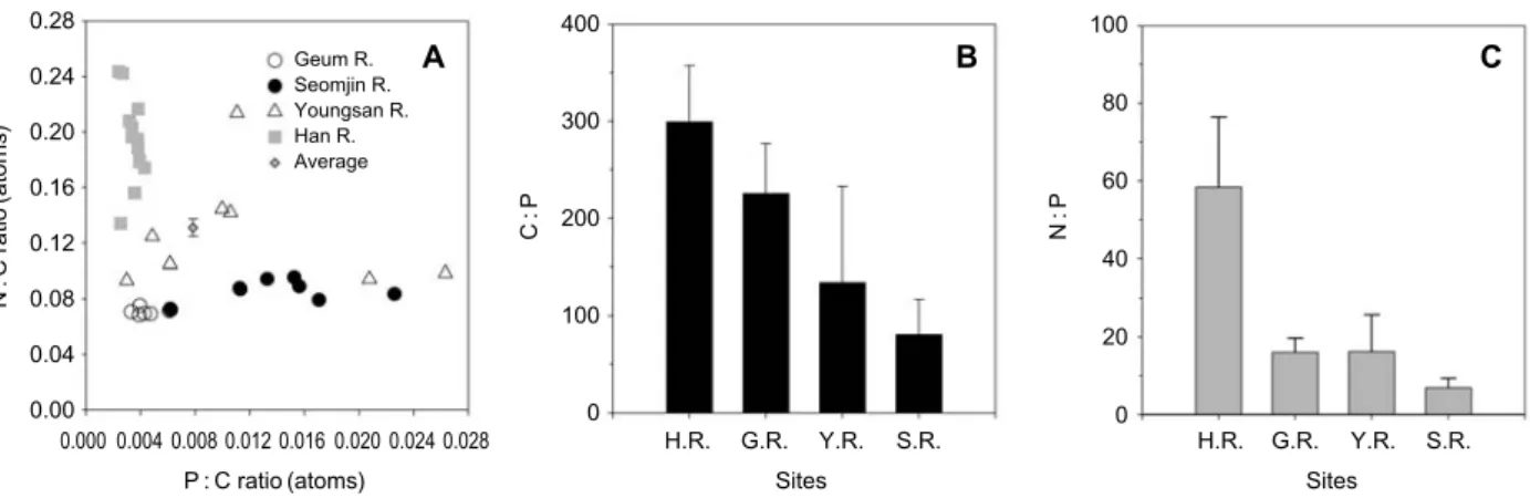Fig. 3. C : N : P ratios of zooplankton (¤63 μm) in study sites. All ratios are determined by atomic weights.