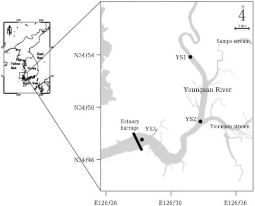 Fig. 1. Map showing the sampling stations in the Youngsan River estuary.